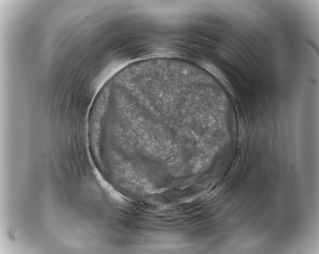 X0000102521439200808291747