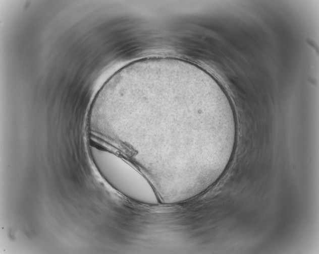 X0000102521440200808291747