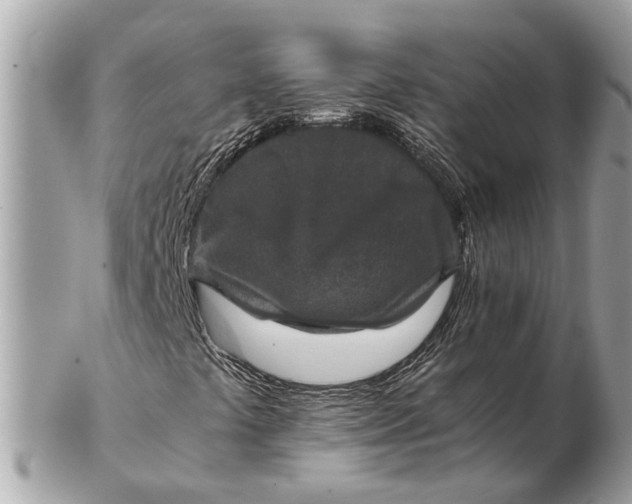 X0000102521441200808291746