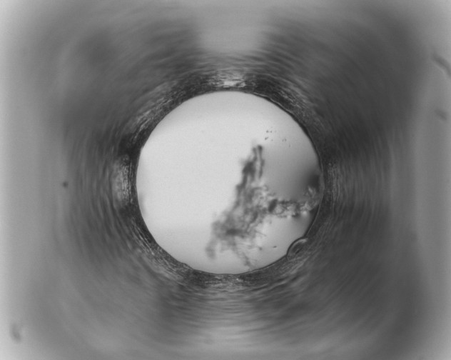 X0000102521442200808291746