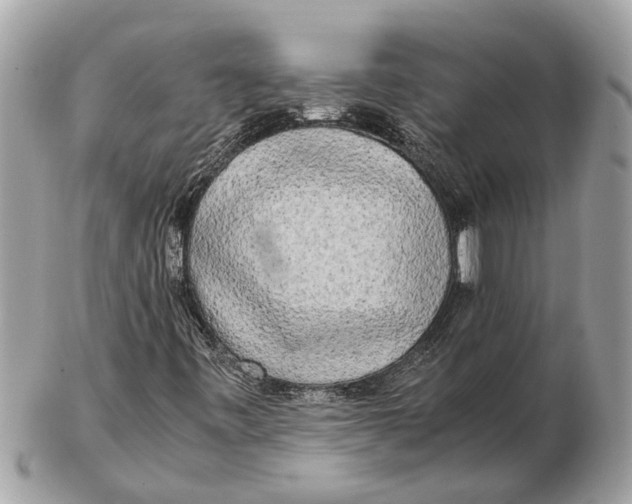 X0000102521443200808291746