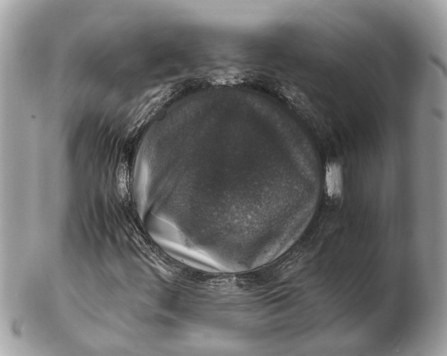 X0000102521444200808291746