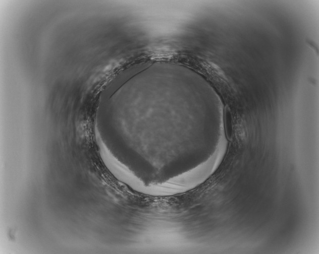 X0000102521445200808291746