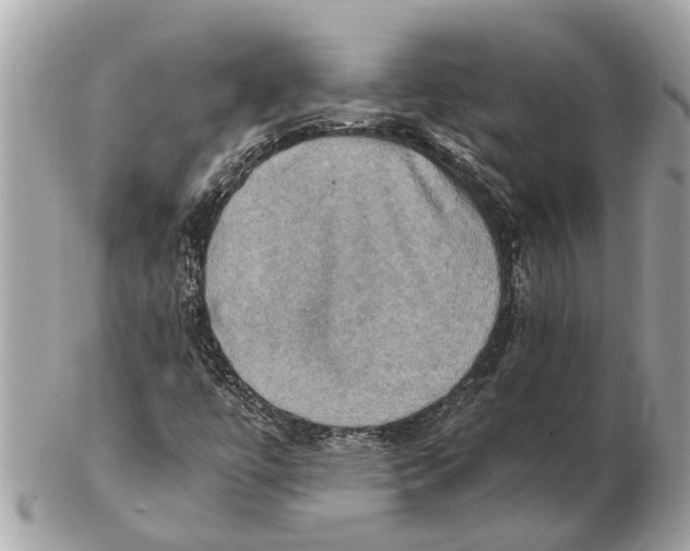 X0000102521447200808291746