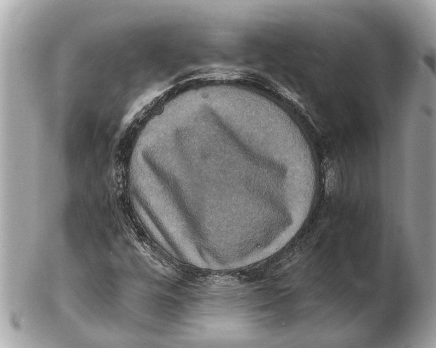 X0000102521448200808291746