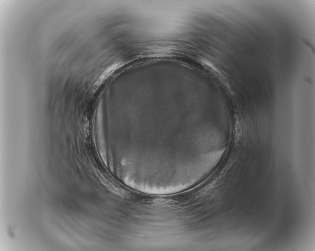 X0000102521449200808291746