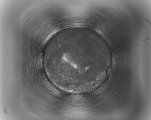 X0000102521450200808291746