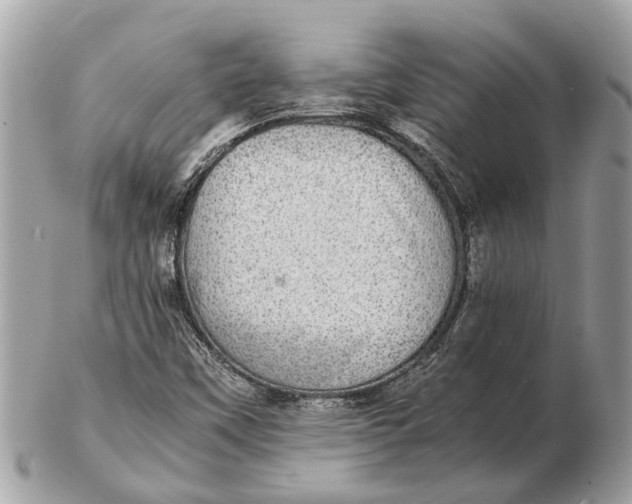 X0000102521451200808291746