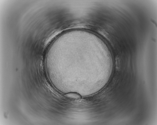 X0000102521452200808291746