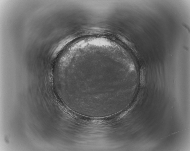 X0000102521453200808291746