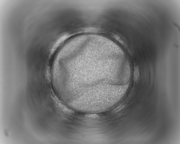 X0000102521454200808291746