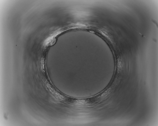 X0000102521455200808291746