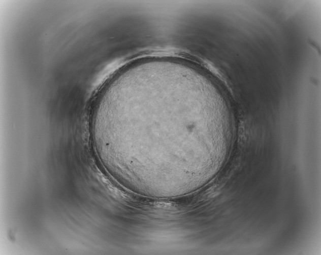 X0000102521456200808291746