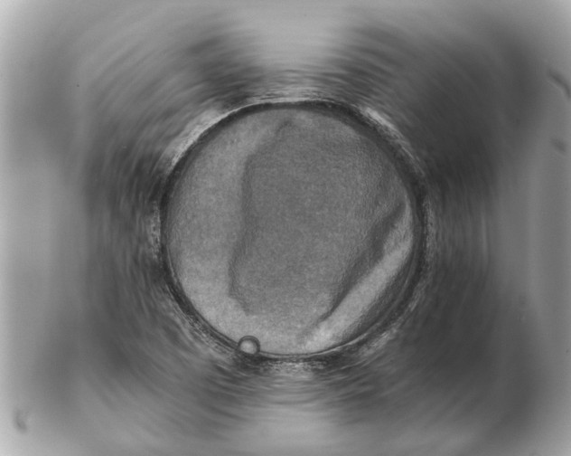 X0000102521457200808291746