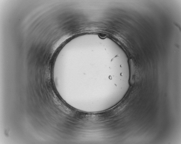 X0000102521458200808291746