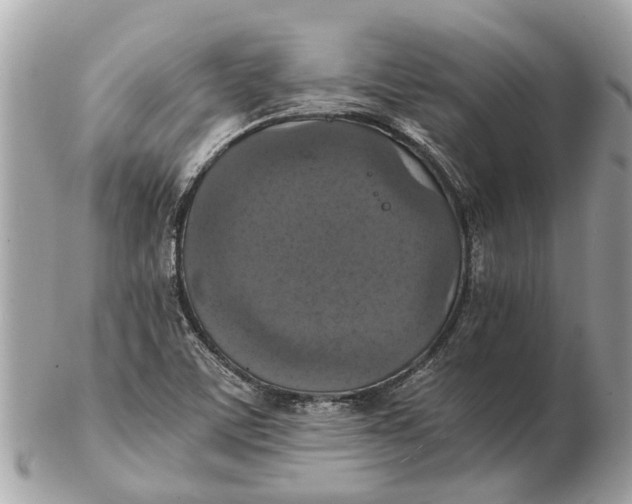 X0000102521459200808291746