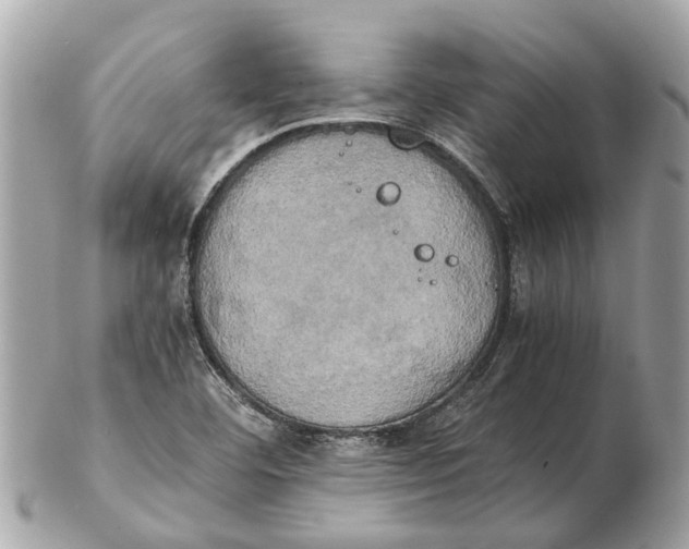 X0000102521460200808291746