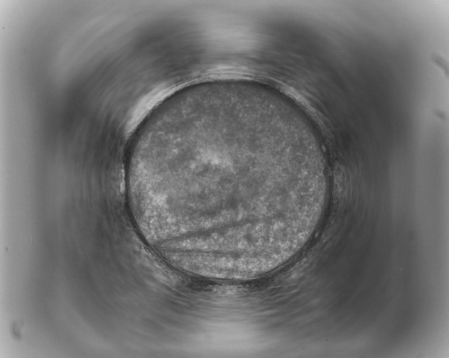 X0000102521461200808291746