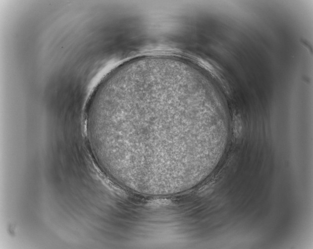 X0000102521462200808291746