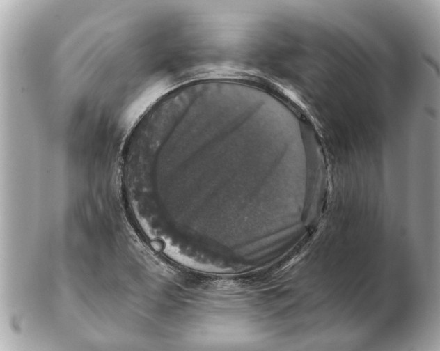 X0000102521463200808291746