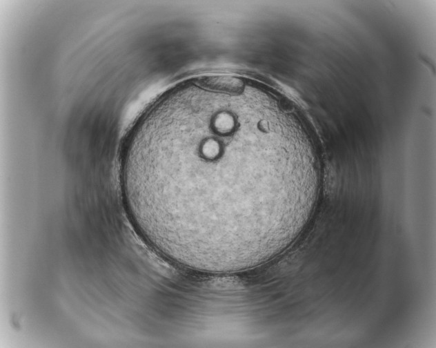 X0000102521464200808291746