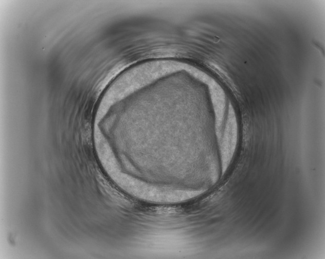 X0000102521465200808291746