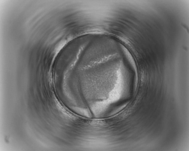 X0000102521466200808291746