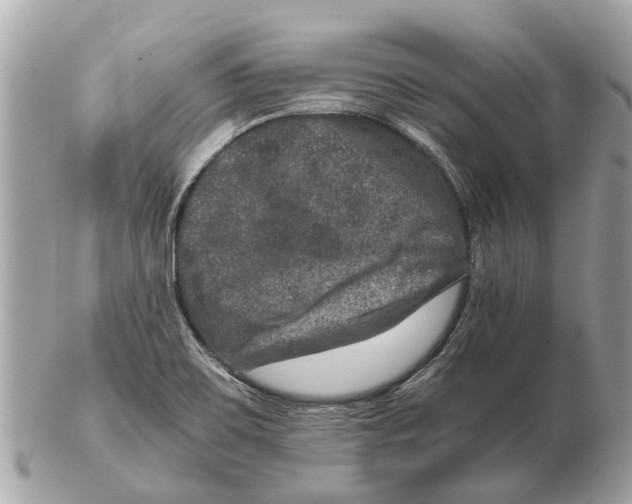 X0000102521467200808291746