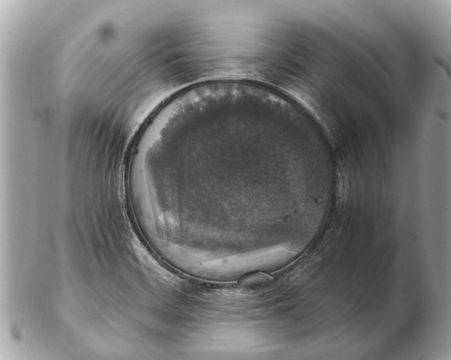 X0000102521468200808291746