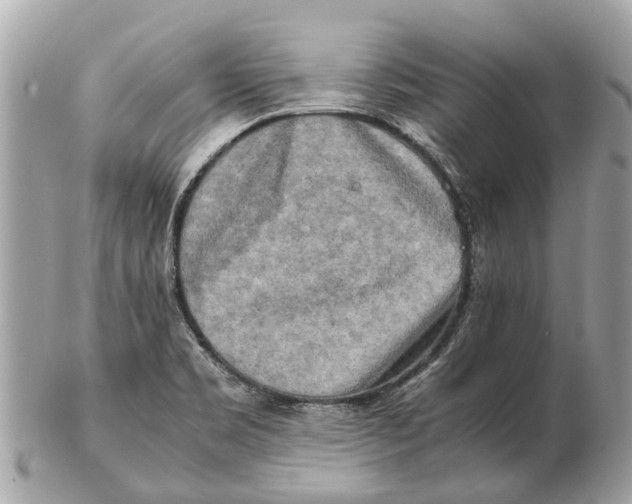 X0000102521469200808291746