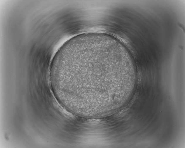 X0000102521470200808291746