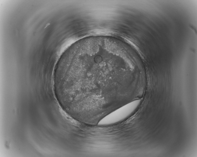 X0000102521471200808291746