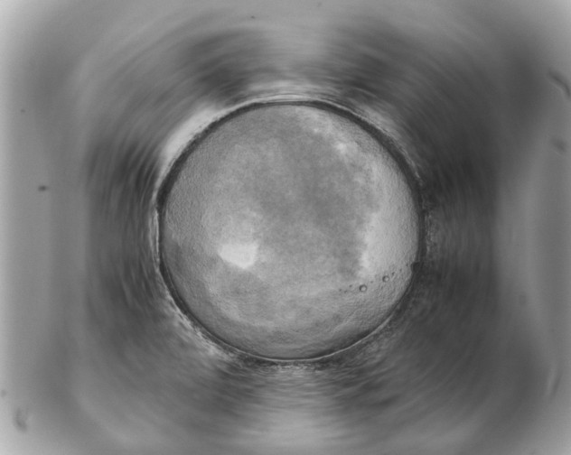 X0000102521472200808291746