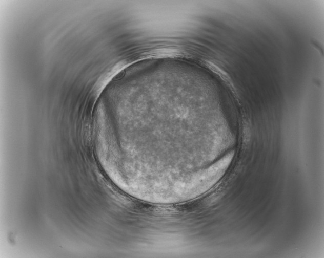 X0000102521473200808291746