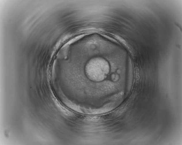 X0000102521474200808291746