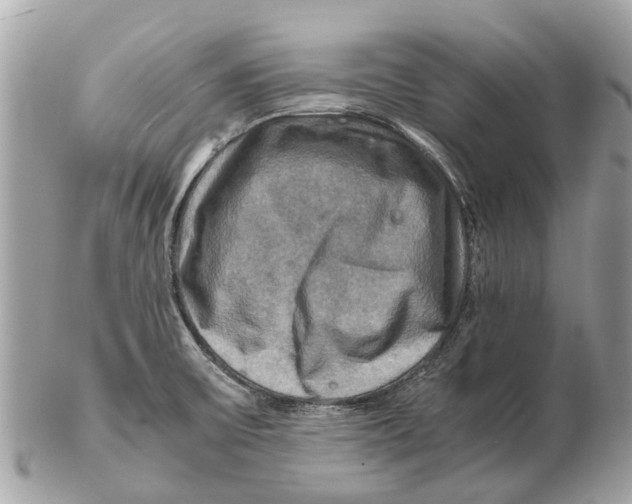 X0000102521475200808291746