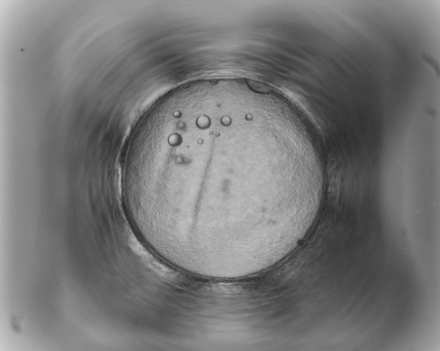 X0000102521476200808291746