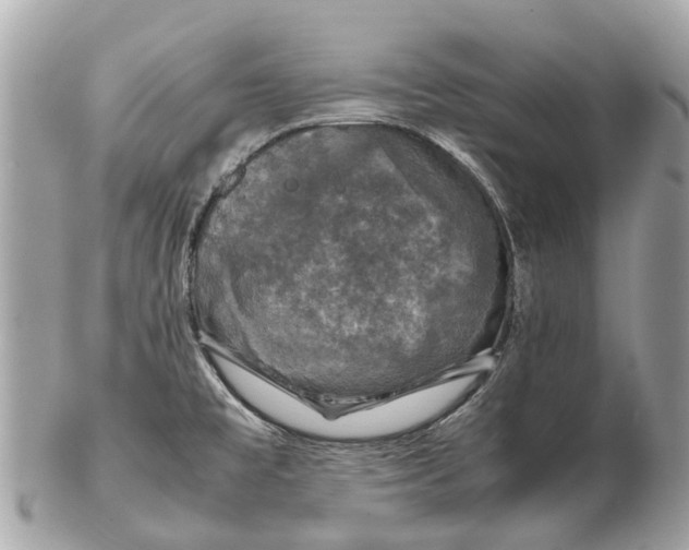 X0000102521477200808291746