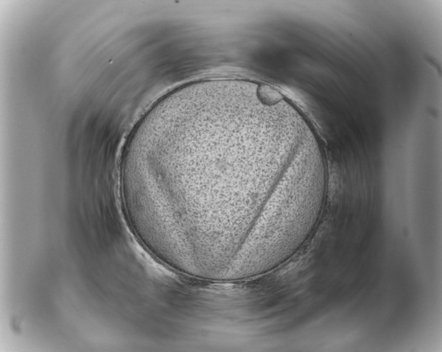 X0000102521478200808291746