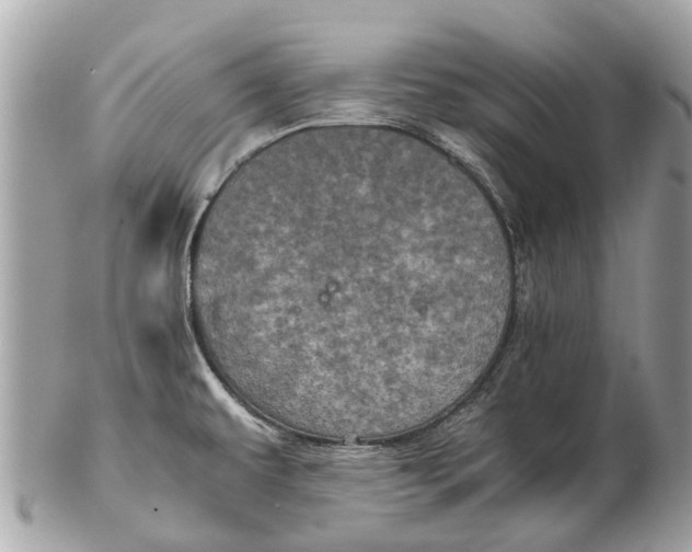 X0000102521479200808291746