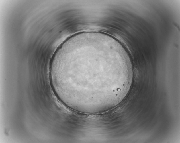 X0000102521480200808291746