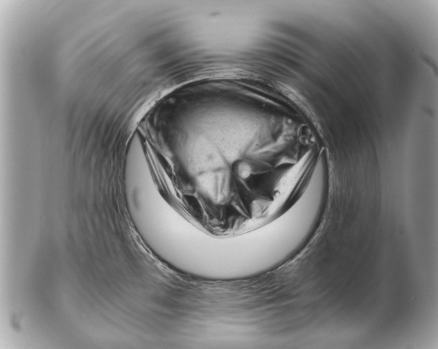 X0000102521481200808291746