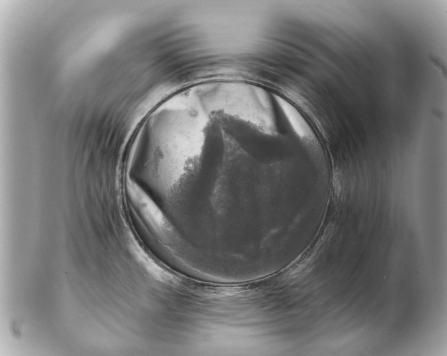 X0000102521482200808291746