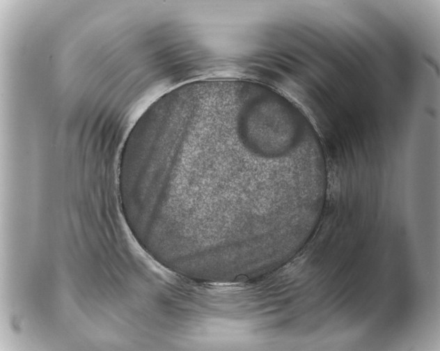 X0000102521483200808291746