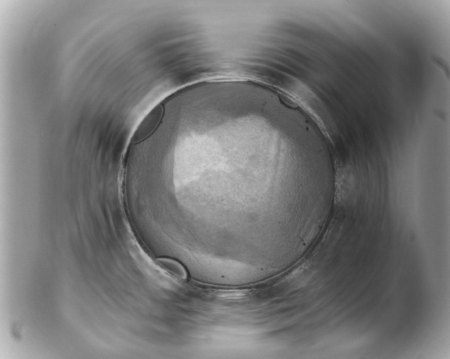 X0000102521484200808291746