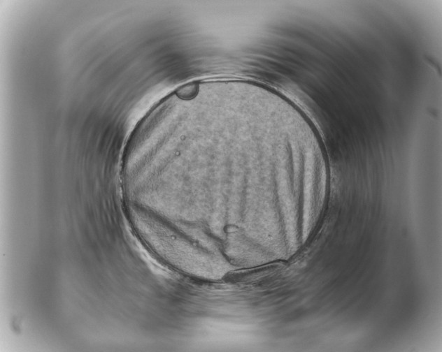 X0000102521485200808291746