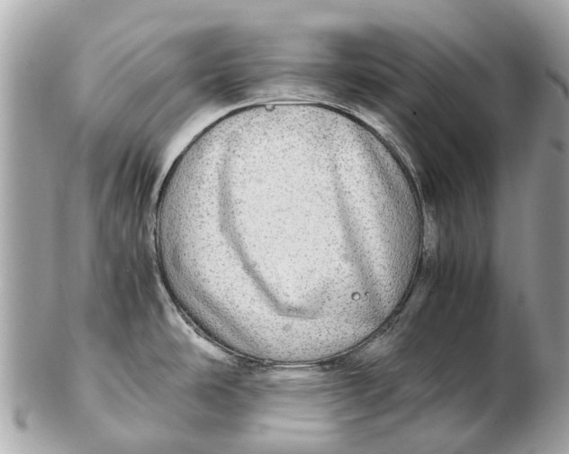 X0000102521486200808291746