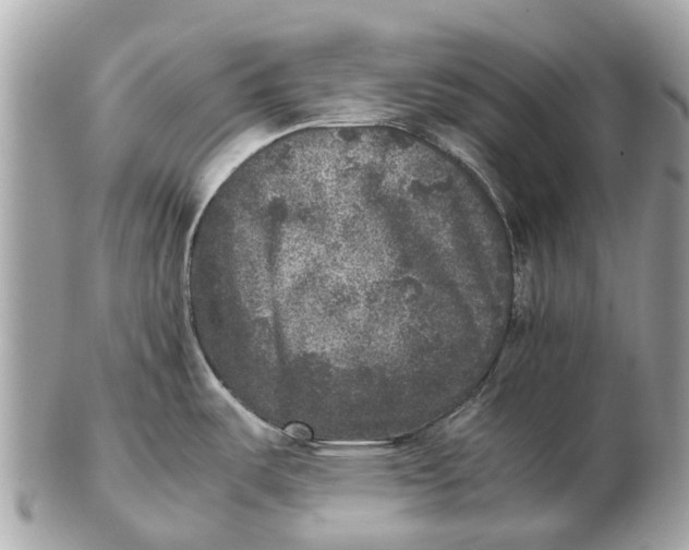 X0000102521487200808291746