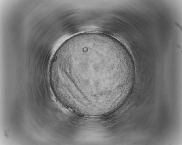 X0000102521488200808291745