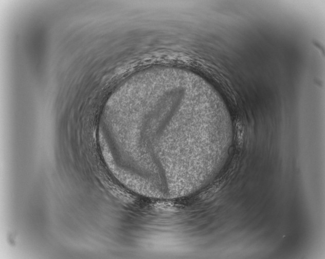 X0000102521489200808291745